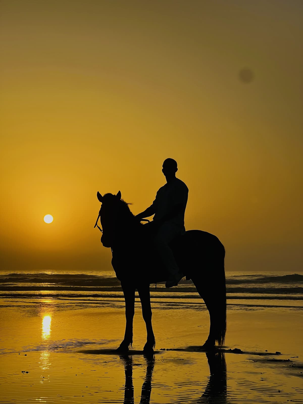 Sunset Beach Horse Ride in Essaouira photo shot & videos