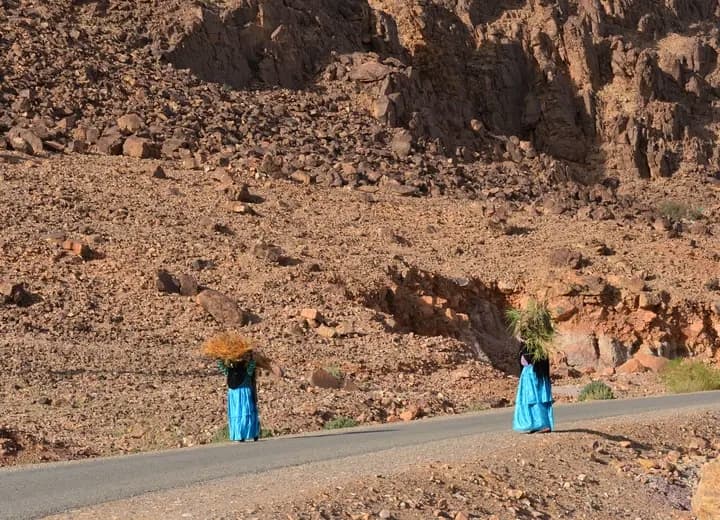 Randonnée de 7 jours dans le Massif M'goun. - view 4